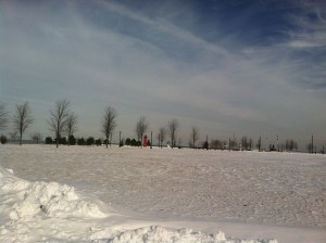 Early Winter 2014 to 15 252