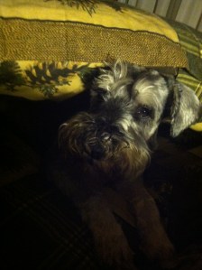 FallWinter2015Mostly 196