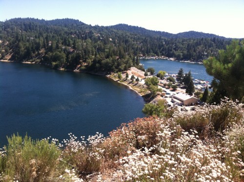 SouthernCAjuly2015 001